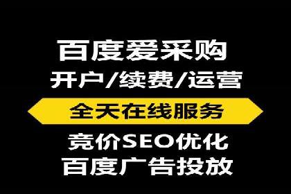 揭秘SEM竞价托管：实战案例深度解析